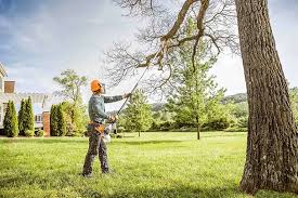 Lawn Pest Prevention in Lynnwood Pricedale, PA